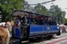 P1000231.jpg