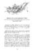 spolky-page-135.jpg